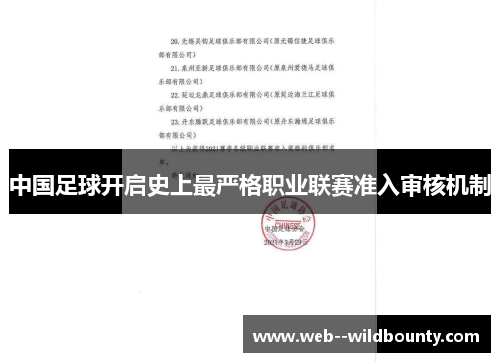 中国足球开启史上最严格职业联赛准入审核机制