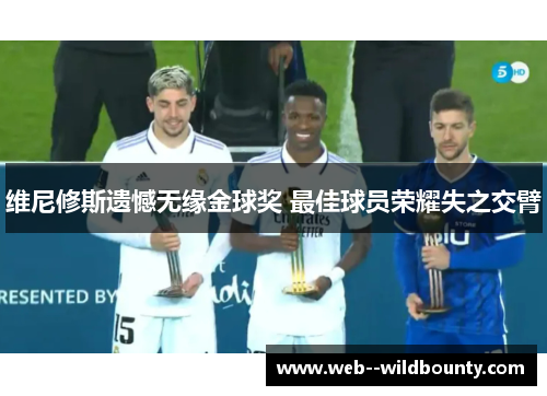 维尼修斯遗憾无缘金球奖 最佳球员荣耀失之交臂