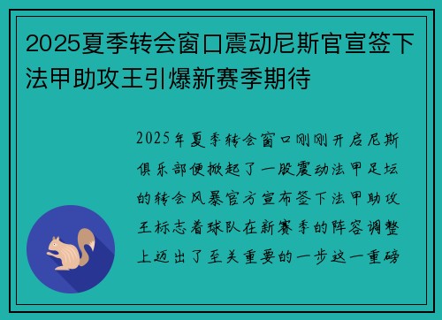 2025夏季转会窗口震动尼斯官宣签下法甲助攻王引爆新赛季期待