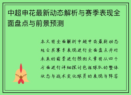 中超申花最新动态解析与赛季表现全面盘点与前景预测