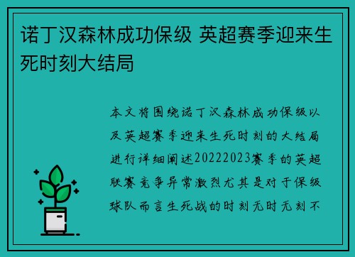 诺丁汉森林成功保级 英超赛季迎来生死时刻大结局